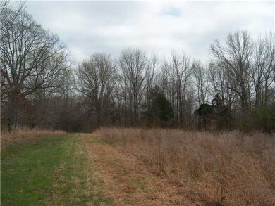 Looking west into the first treeline