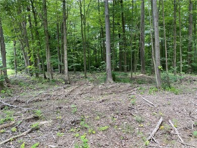 0 Columbia Ln unit 5051479, Roaming Shores, OH 44084 - photo 5