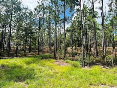 View of undeveloped land