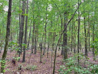 00 Clatworthy Rd, Honea Path, SC 29654 - photo 7