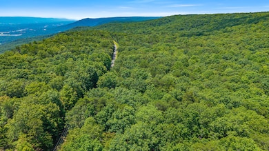 18.69 Ac Windridge Dr, Dunlap, TN 37327 - photo 6