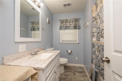 Main bathroom with shower and tub surround.