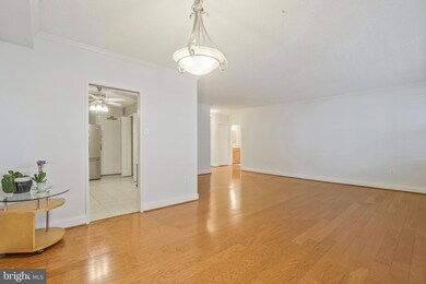 Skyline Plaza unit 1116N, Baileys Crossroads, VA 22041 - photo 3