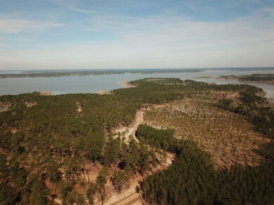 021 Private Road 6028 unit Tract 1-21, Brookeland, TX 75931 - photo 5