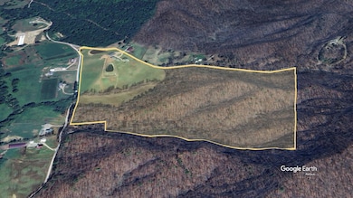 4445-3 Pine Grove Rd, Means, KY 40346 - photo 3