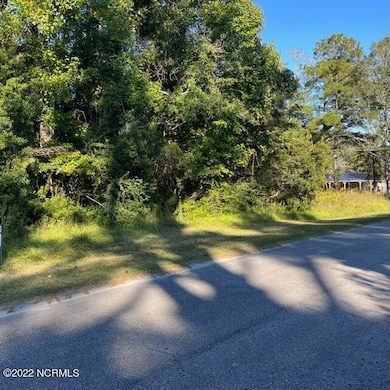 221 Prichard, Havelock, NC 28532 - photo 7