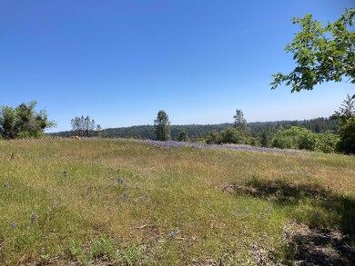 16688 Sonshine Ln, Sutter Creek, CA 95685 - photo 3