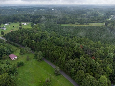 4.19 AC Leda Rd, Nathalie, VA 24577 - photo 4