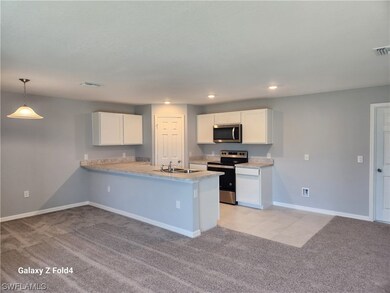 6020 Paula Ave N, Lehigh Acres, FL 33971 - photo 4