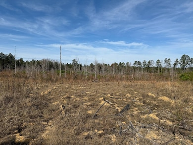 3160 Rd, Preston, MS 39354 - photo 5