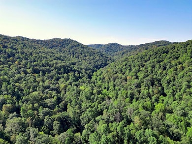 unlisted-address, Jacksonburg, WV 26377 - photo 5