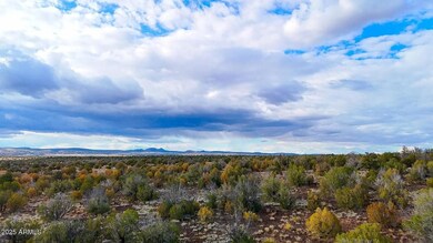 10500 W Big Moon Ln, Ash Fork, AZ 86320 - photo 2