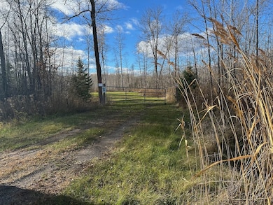 Tbd State Highway 65, Jacobson, MN 55752 - photo 3