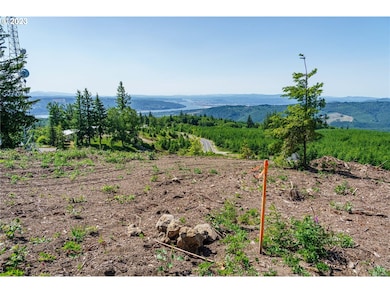 0 China Garden Rd unit B 23521969, Kalama, WA 98625 - photo 5