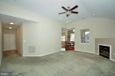 5004 Willow Branch Way unit 301, Owings Mills, MD 21117 - photo 3