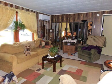 116_7462 (2)