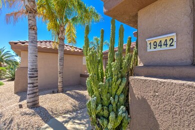 19442 N Desert Mesa Dr-5