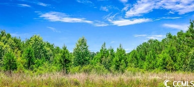 TBD Jasmine Rd, Loris, SC 29569 - photo 2