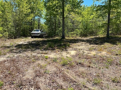 Lot J McCartt Ridge Ln, Sunbright, TN 37872 - photo 6