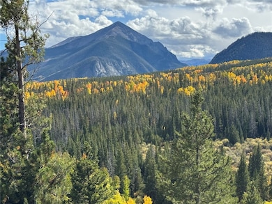 9430 Ryan Gulch Rd unit 9453, Silverthorne, CO 80498 - photo 2