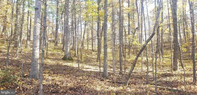 0 Williams Ln unit 55 & 56 VASH2001422, Basye, VA 22810 - photo 3