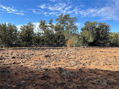 Easy to pull into natural clearing for a campsite