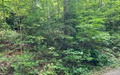 Additional View