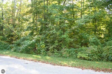 _ E Cherry Ln, Cedar, MI 49621 - photo 2