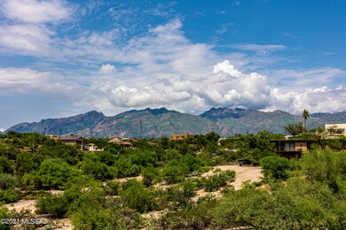 Catalina Mountain Views