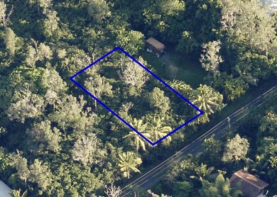 Overhead photo, looking SE at lot (property lines are approximate).