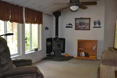 34 Hideaway Ln, Adin, CA 96006 - photo 3