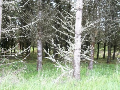 0 Savage Rd unit 13490957, Sheridan, OR 97378 - photo 4