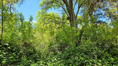 0 Lincoln Aly, Placerville, CA 95667 - photo 4