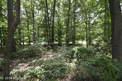 4920 Gadsen Dr, Fairfax, VA 22032 - photo 4