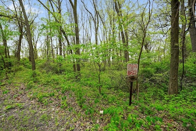 29W725 Army Trail Rd, Bartlett, IL 60103 - photo 6