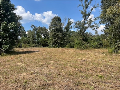 0 Cotile Lake Rd, Boyce, LA 71409 - photo 6