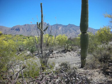 0 E Vía Alcalde unit 2 21211389, Catalina Foothills, AZ 85718 - photo 2