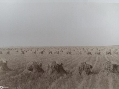 19980 173rd Ave, Sigourney, IA 52591 - photo 7