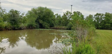 20202 Tealwood St, Waller, TX 77484 - photo 6