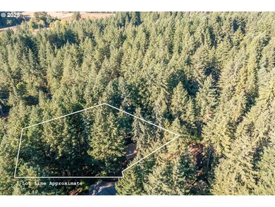 31636 Lewis Place, Philomath, OR 97370 - photo 3