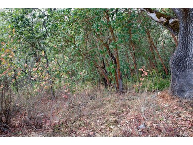 0 North Ct unit 594381467, Riddle, OR 97469 - photo 4