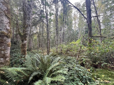 2 XX View Dr NE, Poulsbo, WA 98370 - photo 2