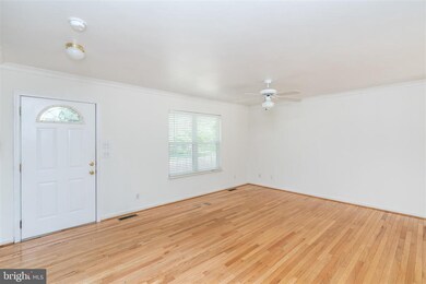 919 Windsor Ave, Annapolis, MD 21403 - photo 4