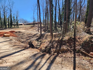 8A Forest Creek Cir, Hartwell, GA 30643 - photo 6