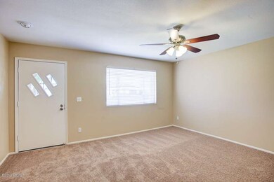 Living Room New Carpet and Ceiling Fan