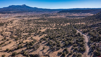 15311 Rancho Verde Rd, Trinidad, CO 81082 - photo 3