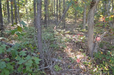 15 13th St N, Edgartown, MA 02539 - photo 7