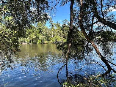 0 Liatrus Ln unit 7644990, Seminole, AL 36574 - photo 4