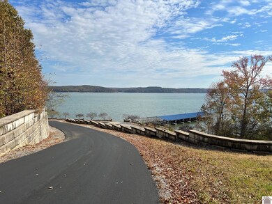 Lot 24 Haynes Cemetery Rd unit 1.09 acres The Point, Murray, KY 42071 - photo 6