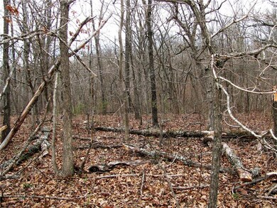 0 Leland Ln unit 1076820, Bella Vista, AR 72715 - photo 4